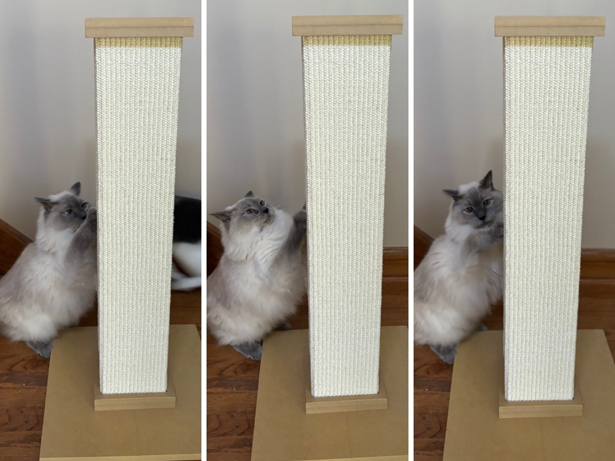 Why the SmartCat Ultimate Scratching Post is a Must-Have for Every Cat Owner