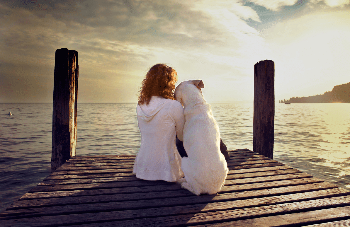 15 Beautiful Ways Dogs Teach Us To Slow Down And Savor Life