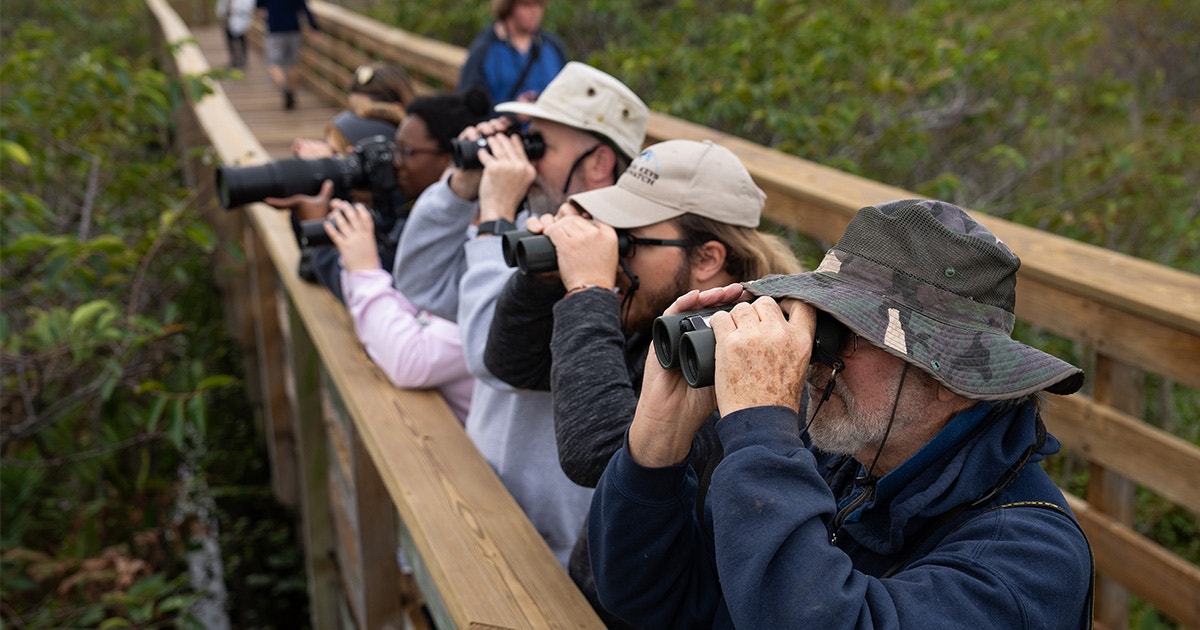 Audubon Invites Volunteers to Celebrate 125 Years of the Christmas Bird Count