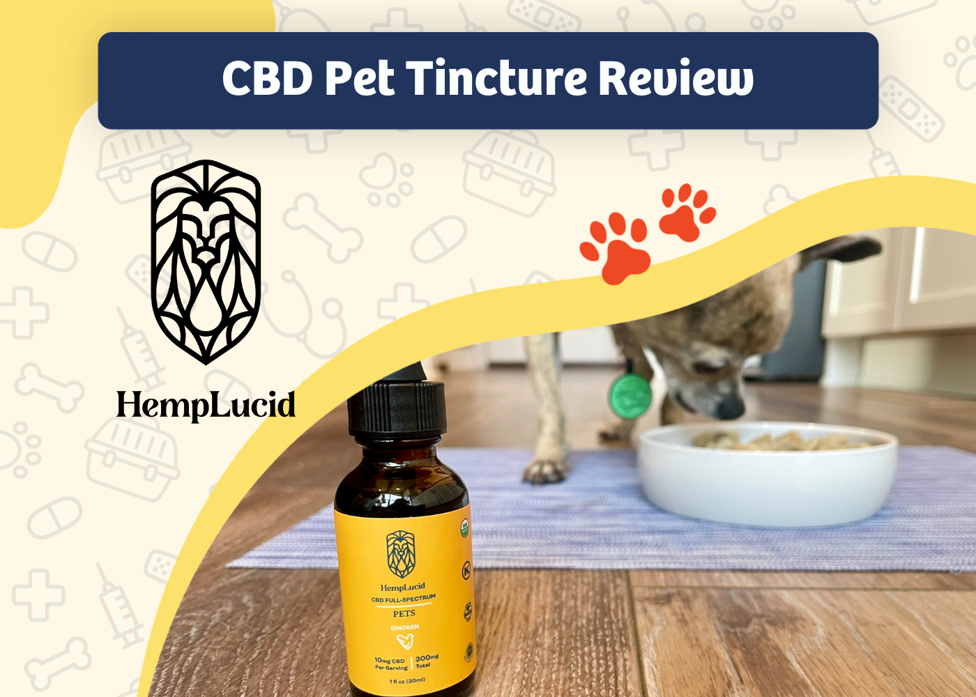 HempLucid Organic Full-Spectrum CBD for Pets Review 2024: Papryus the Chihuahua’s Experience